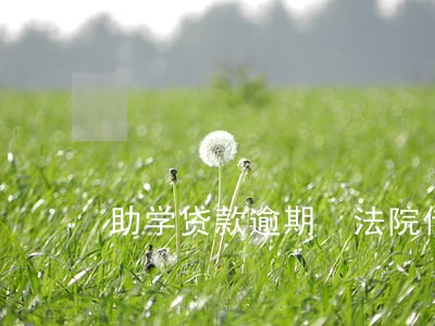 助学贷款逾期 法院传票 助学贷款逾期 法院传票